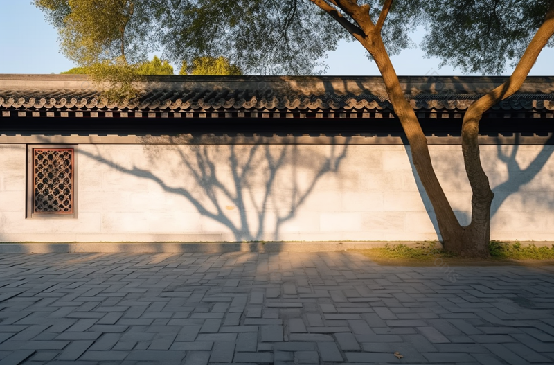 中国古典园林白墙黑色的瓷砖大树影子,高清,摄影图,摄影图片,图片大全,摄影图免费下载